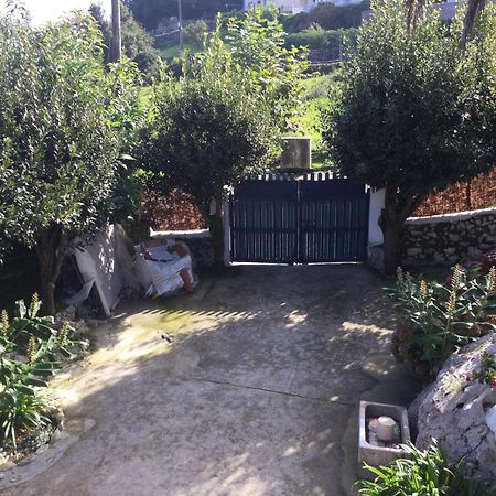 Casa Jardin Rocablanca Llanes Villa Celorio  Exteriör bild
