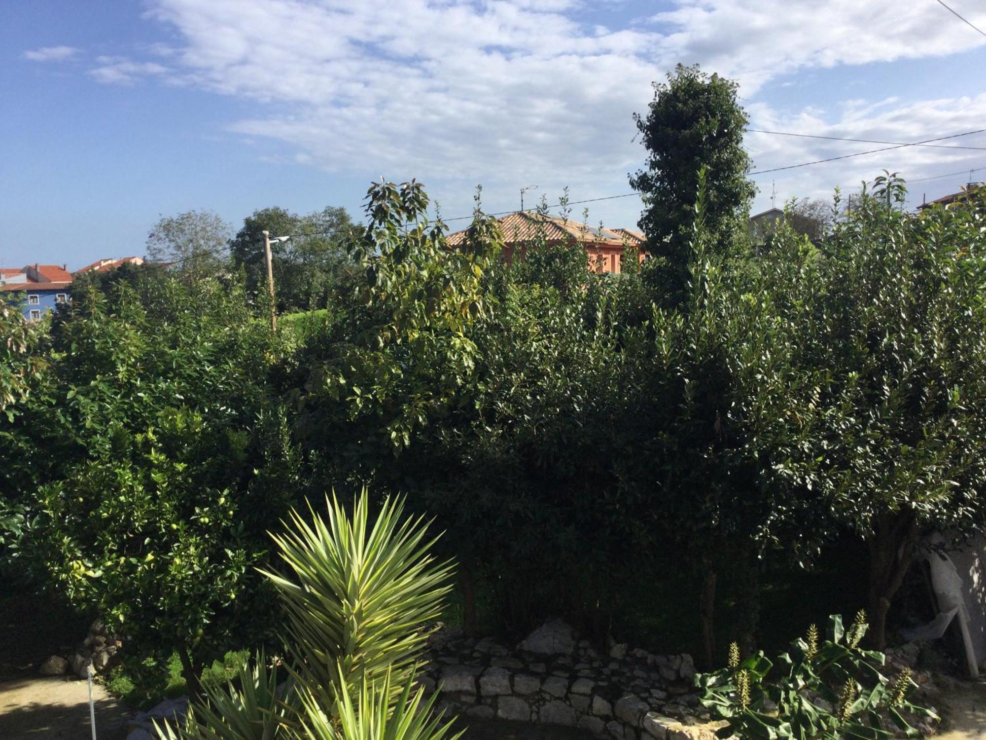 Casa Jardin Rocablanca Llanes Villa Celorio  Exteriör bild